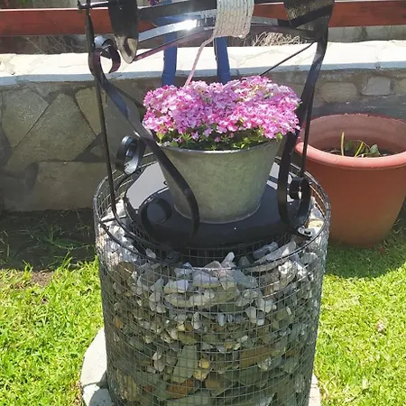 Stamflor شقة فندقية بورتو كوفو